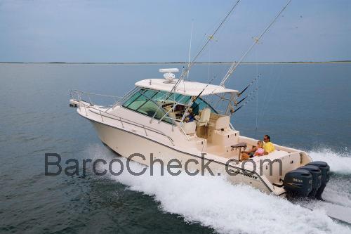 Grady White 370 ficha tecnica